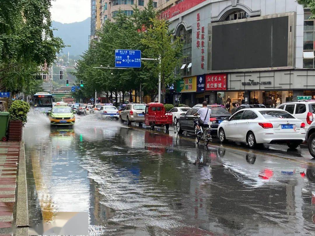 【百姓发布台】都匀这里的银杏树好受罪