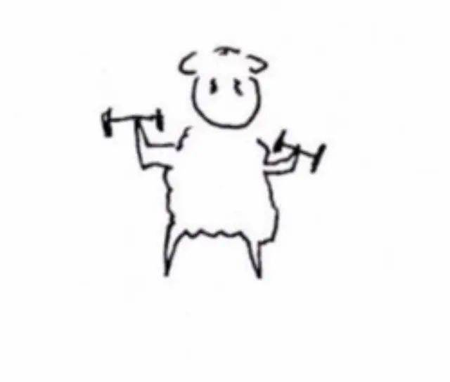 分享易烊千玺的to签 举铁烊烊好可爱