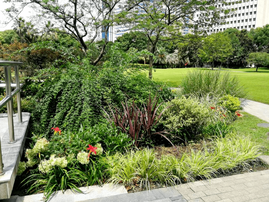 波光粼粼芳草鲜美上海新添两处河岸花境