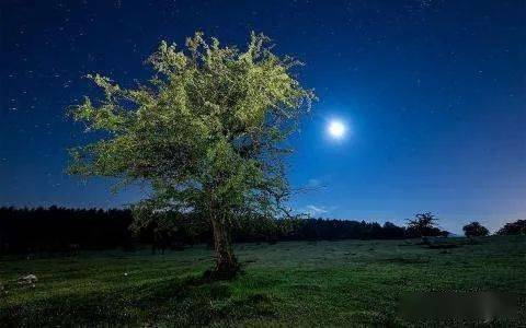 夜 ◎王宏 夜 或許我可以乘著舟 承載著滿滿的晶瑩的露珠 去看你 每一