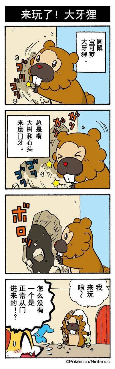 即日起,我们会定期更新宝可梦四格漫画, 敬请关注哦!