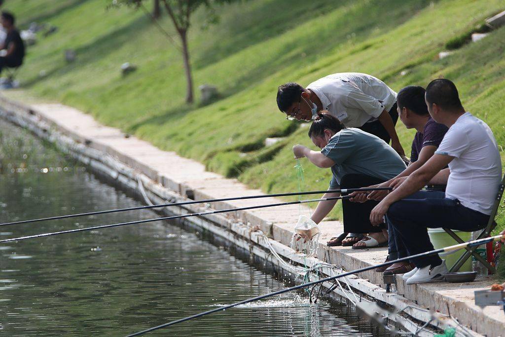 青岛:市民河边"排排坐" 周末钓鱼消遣时光_白沙河