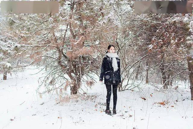 梅荷:讀川端康成的《雪國》——美到心痛_名叫島村