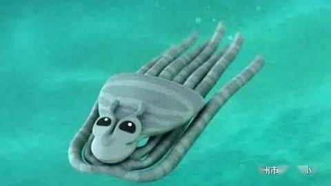 说说我的海洋生物朋友们|第11期:变形大师-拟态章鱼_手机搜狐网