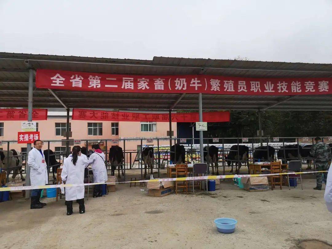 全省第二届家畜繁殖员(奶牛)职业技能竞赛圆满举办