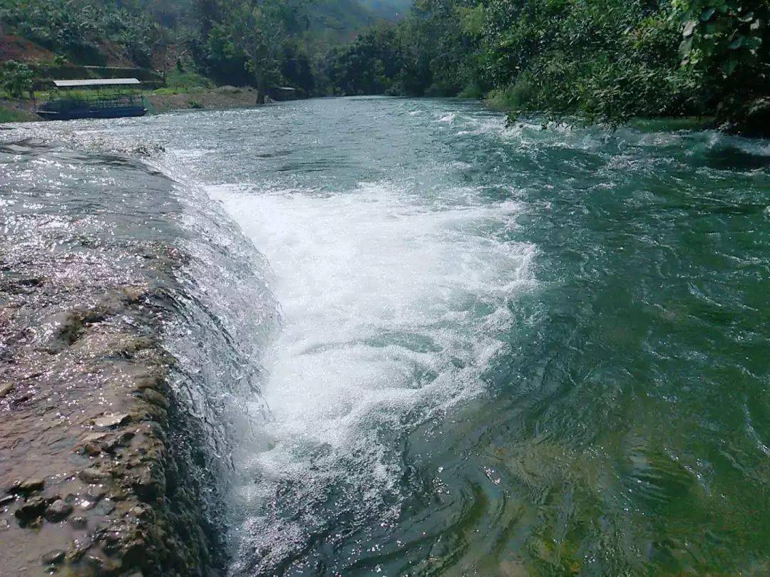 马关花坝神谷庄园61一个山美水美的地方_手机搜狐网