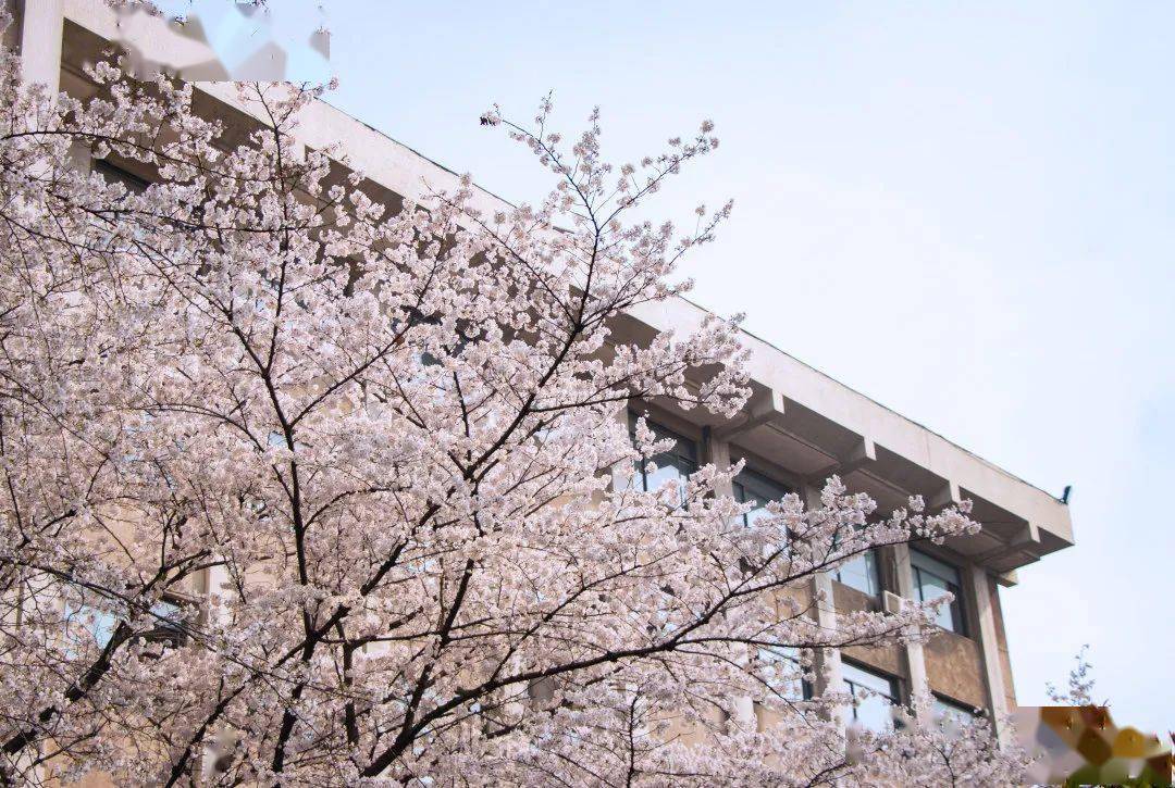 东南大学2021年硕士研究生招生章程