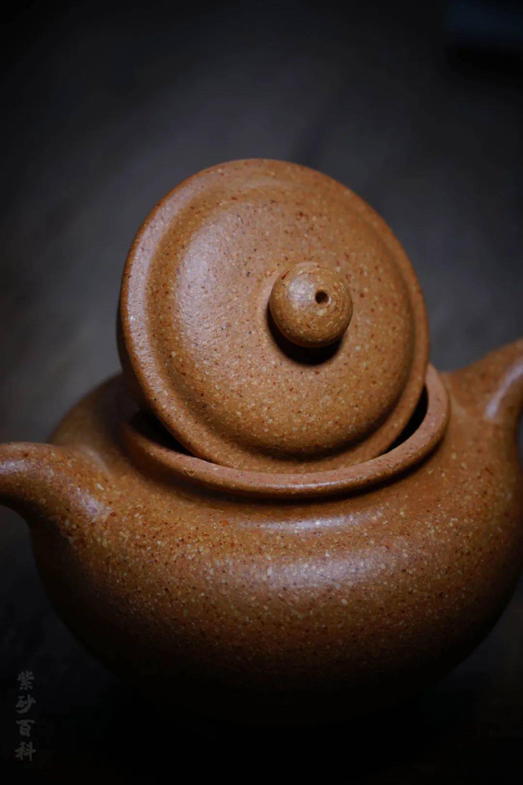 雅藏|葵黄 掇只 · 高歌_紫砂