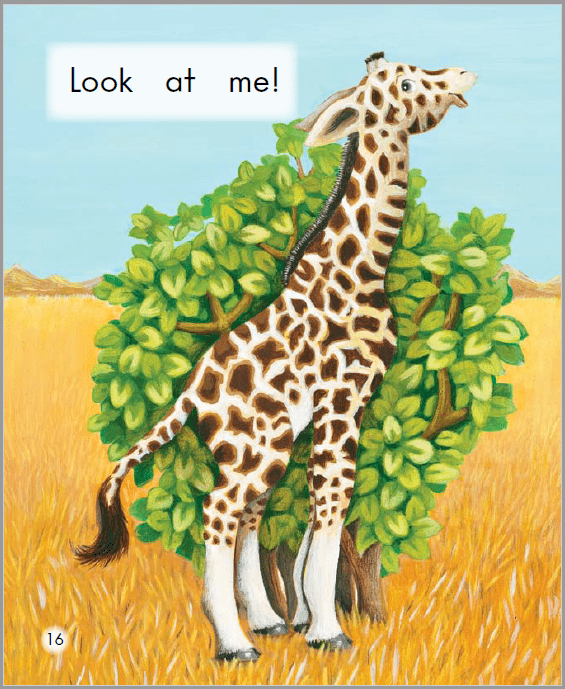 海尼曼g1听说读看39look