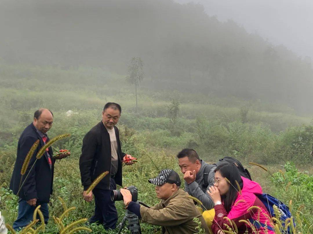 湖南经视记者到新宁县界富村开展精准扶贫报道