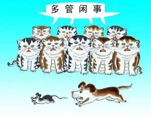 专业的事专业的人来做qa不要多管闲事