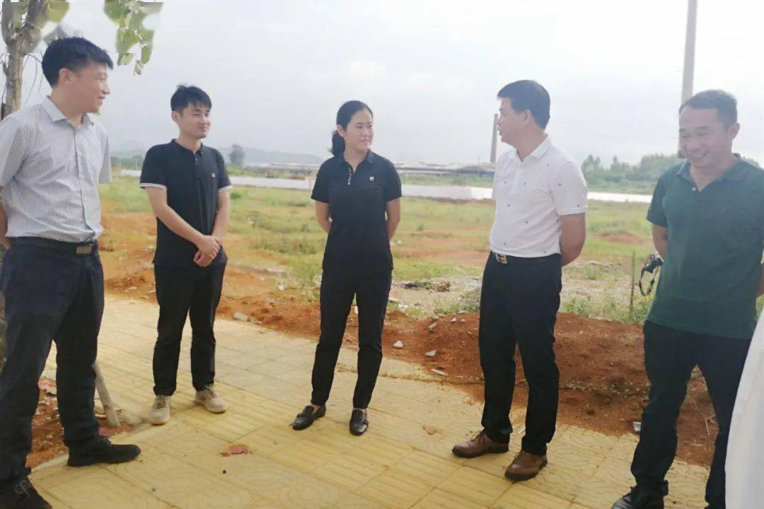 区县|决胜污染防治攻坚战,柳城县委书记专程查看了两个点……_李建华