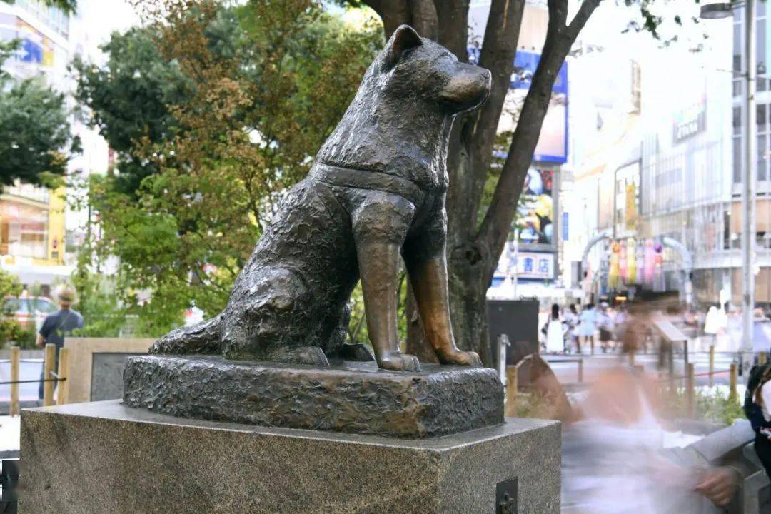 涩谷忠犬八公像鞋垫上也显示涩谷的地标——忠犬八公像特别的是这款