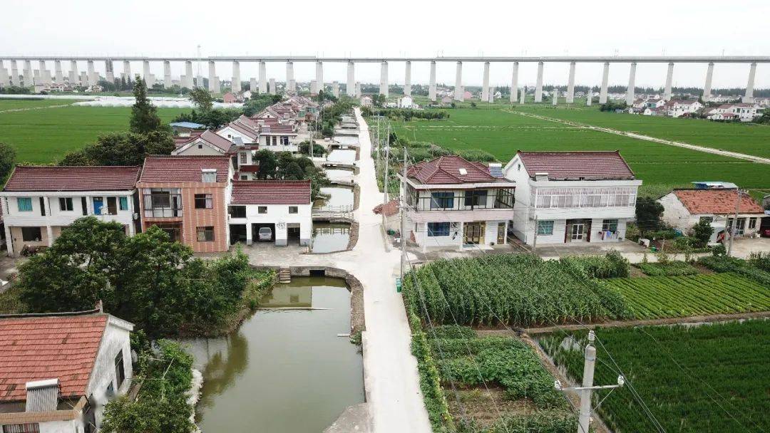 决胜小康奋斗有我魅力登瀛服务为民这个村的老百姓幸福感满满