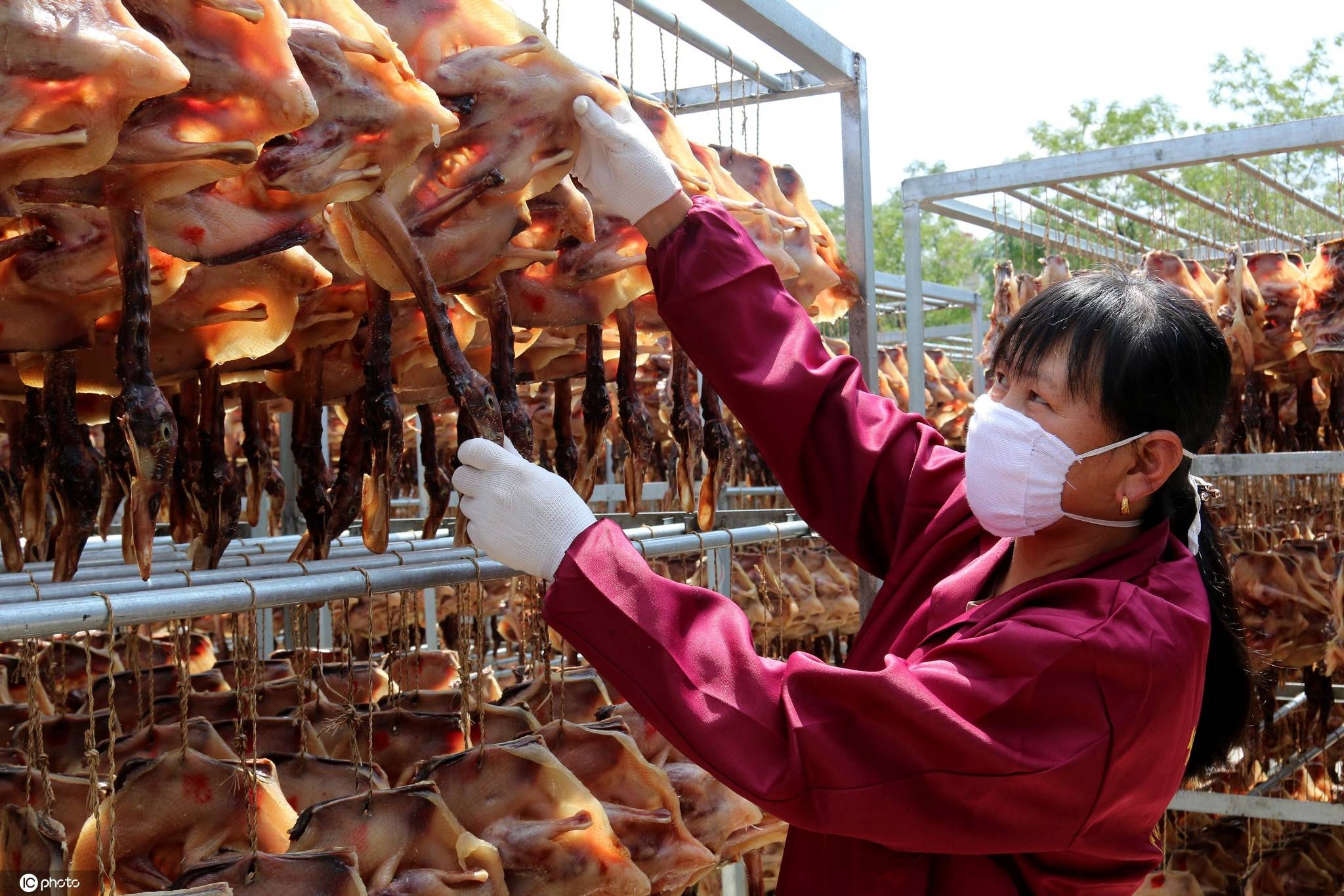 江西遂川:板鸭加工技术换代"季候风"俏市场