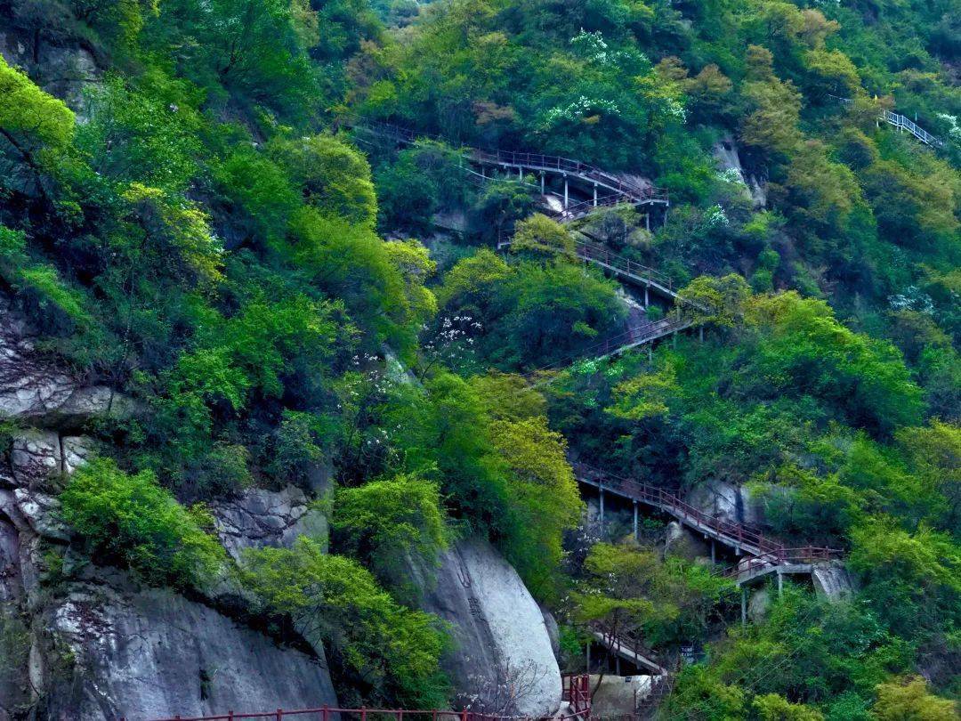 7符合下面两个条件之一即可免费游览亚武山景区,免费体验玻璃吊桥及