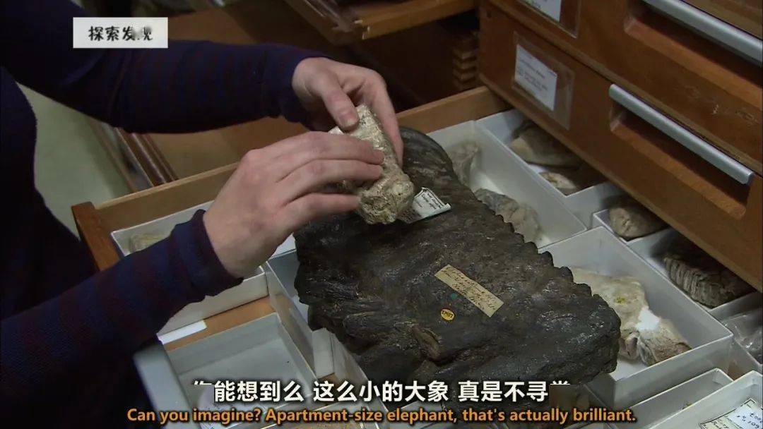 图说纪录片生命博物馆4