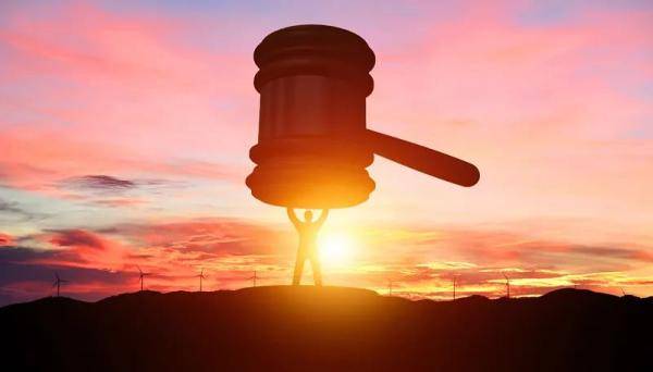 内江打掉一个在白马镇作恶的黑社会性质团伙,涉案者达数十人——_李翼