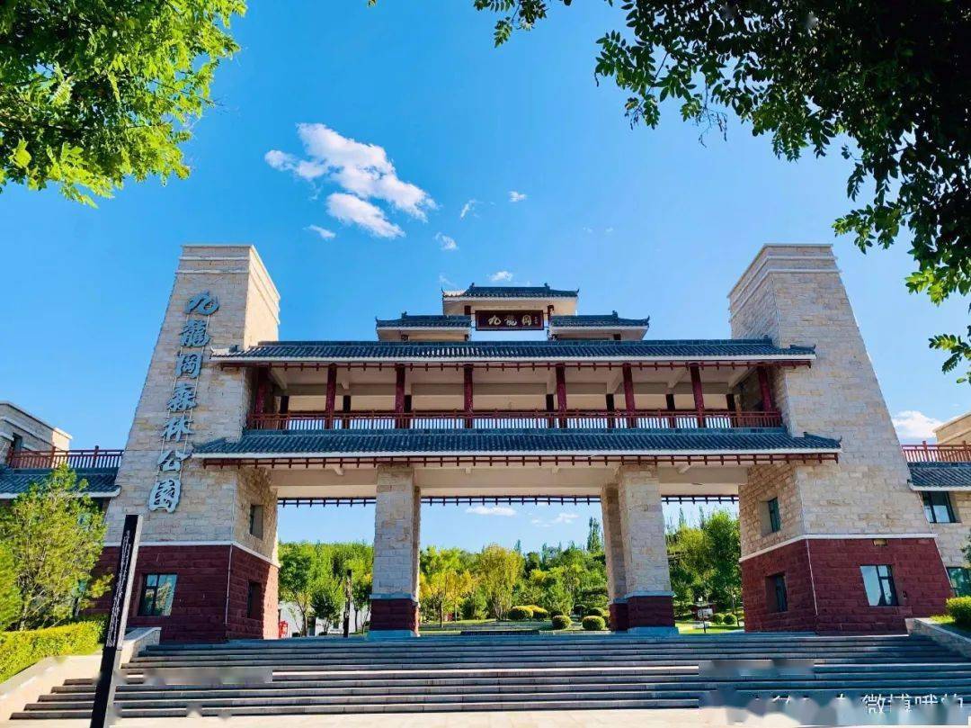 刚刚,忻州九龙岗森林公园拍到的一幕.