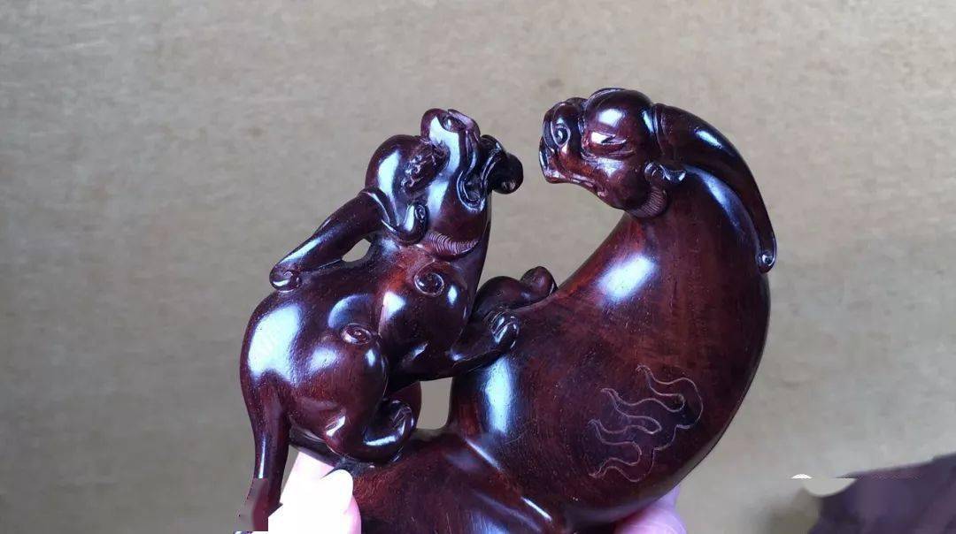 正宗海南黄花梨苗哪里有售的