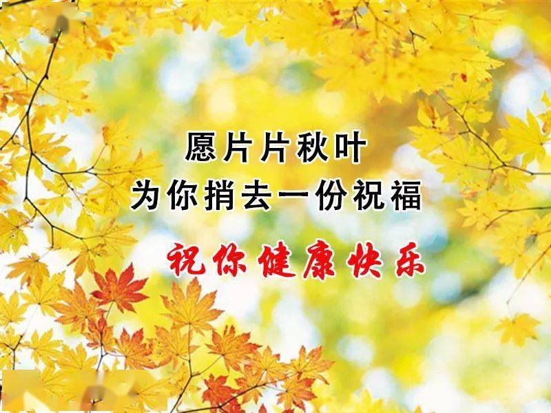 秋来了想你了天凉添衣朋友珍重