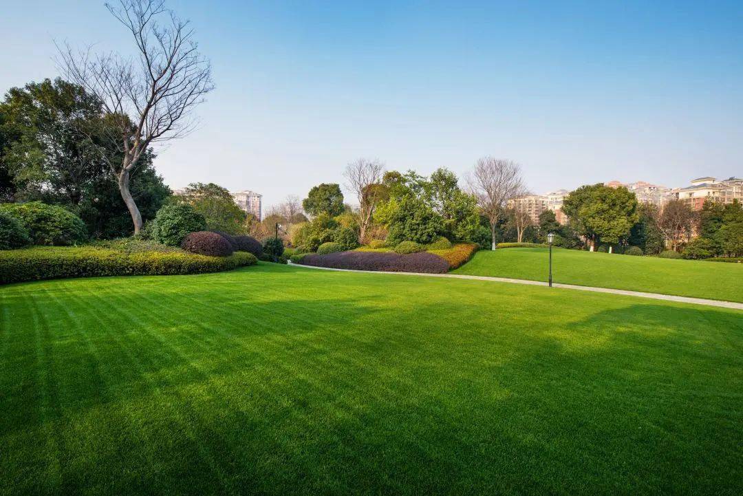 9月19日湖畔樾山特邀国内知名专家为健康保驾护航