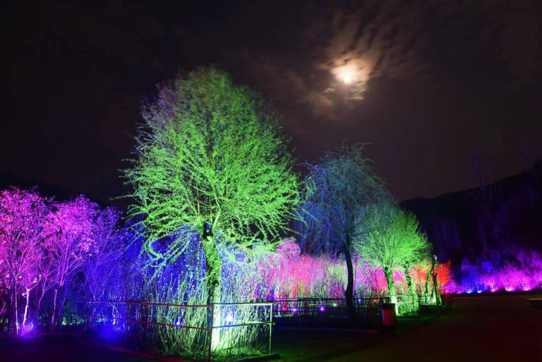 重渡沟那迷人的夜晚