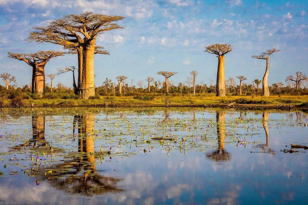 马达加斯加丰饶美丽的第八大洲