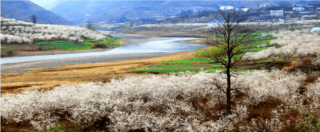 现用名:纳雍总溪河旅游景区出生地:纳雍县北部家族范围:纳雍县厍东关