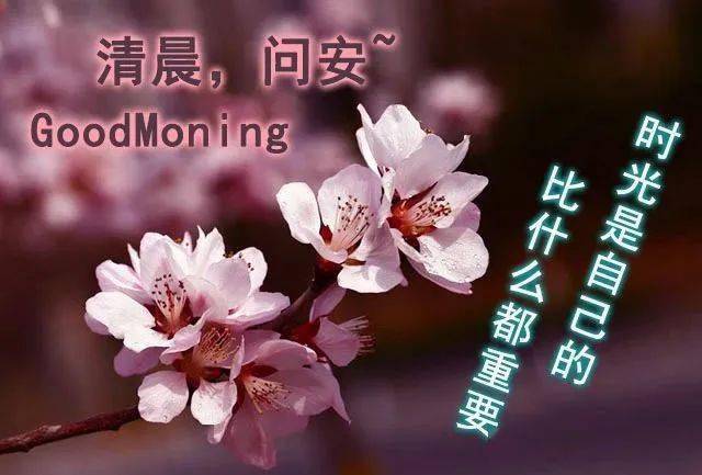清晨特漂亮的早上好图片大全早上好问候语及祝福语表情图片