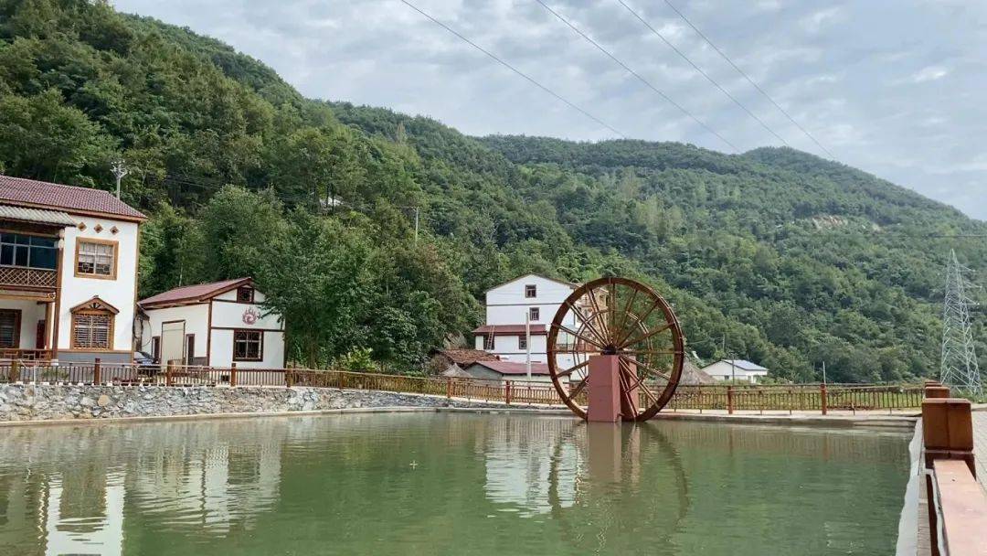 龙坪村:游高山乡村,享天然氧吧