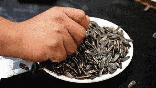 "拿筷子博士" 和 "嗑瓜子博士"