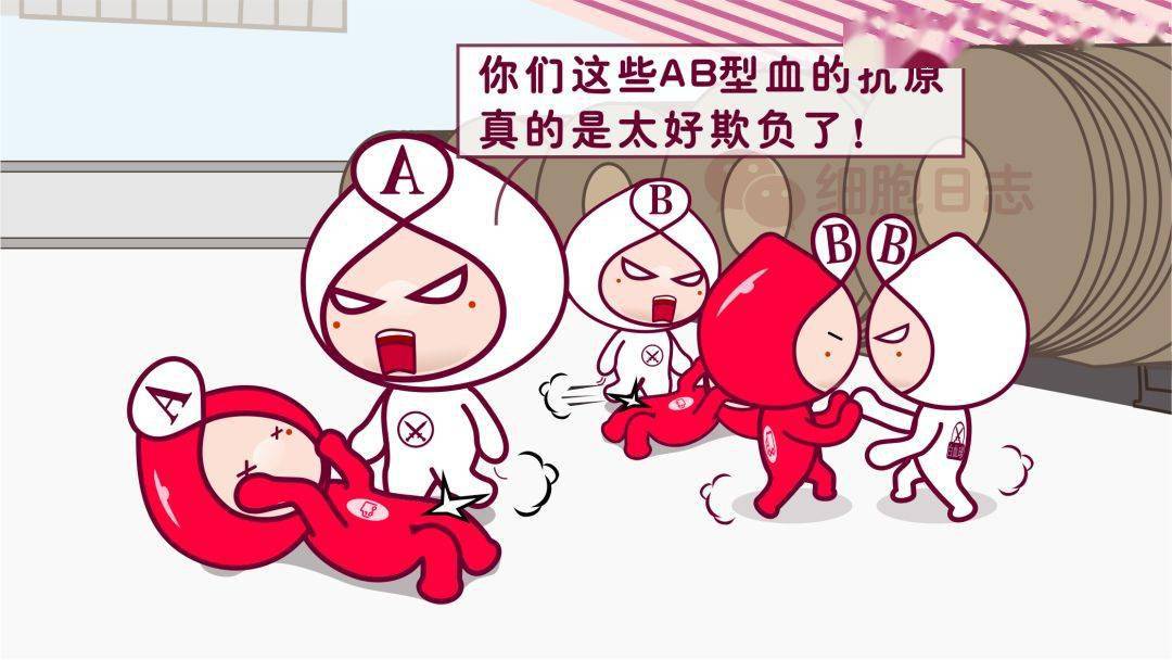 血液趣谈从血型看健康你知道吗