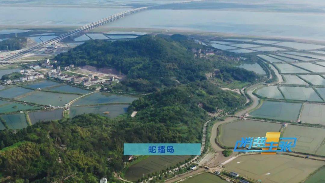 金秋长假好去处央视带你走进三门蛇蟠岛探奇洞深穴惊艳朋友圈