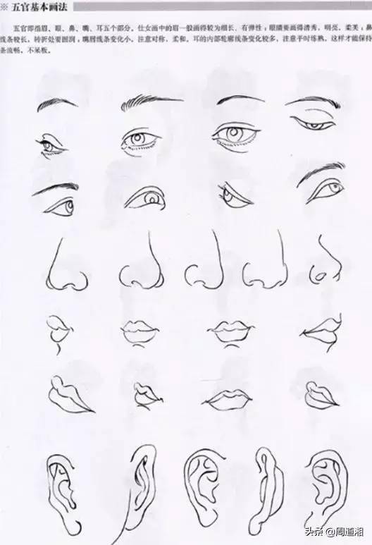 「黑白线稿」古风美人白描线稿素材(附人物五官画法)