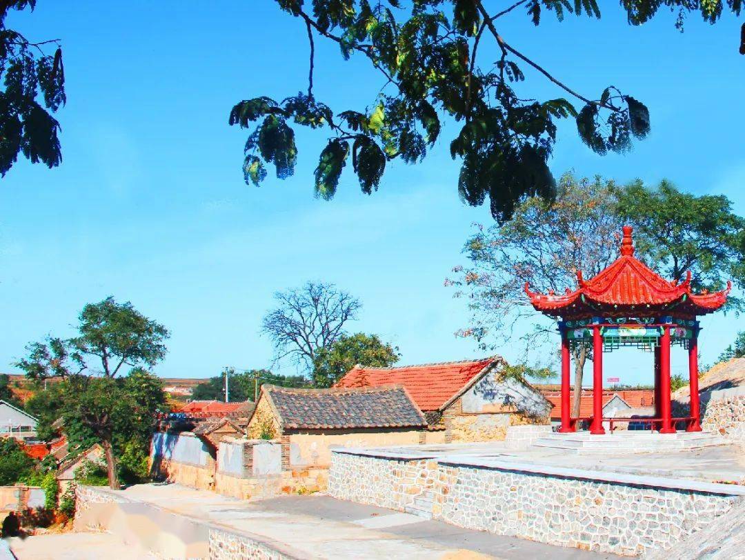 文明实践站风采展示第五期大柳行镇挖历史底蕴留住乡愁乡韵树时代文明