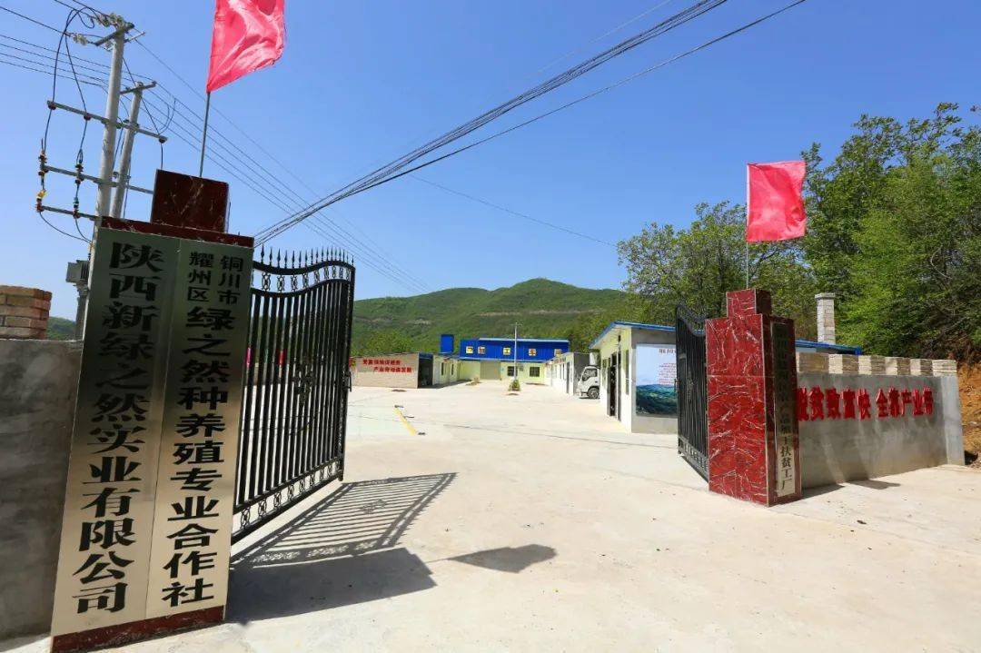 参展合作社推介 | 耀州区绿之然种养殖专业合作社