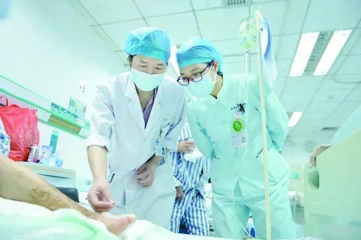 圆斑蝰又称百步金钱豹,原产泰国,省内主要分布在肇庆,韶关一带,而圆斑