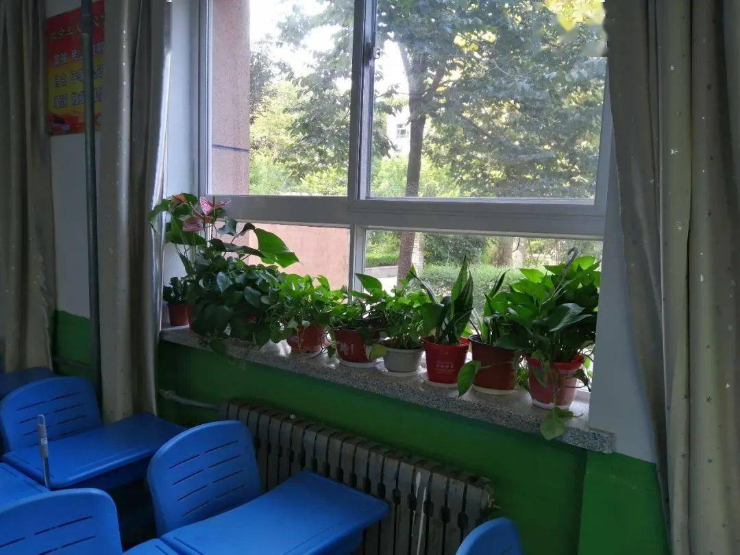 班级美化展新颜教室绿化醉历元历元学校新学期班级文化展评