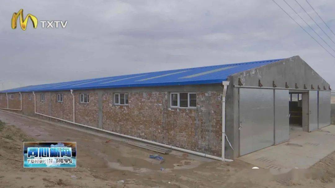 政府投资新建的2座肉牛养殖圈棚,4个青储安化池,4座草料棚已全部竣工