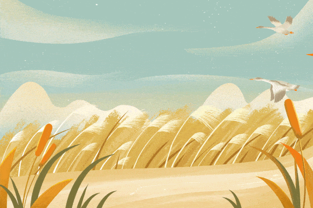 城节气故园应露白凉夜又秋分