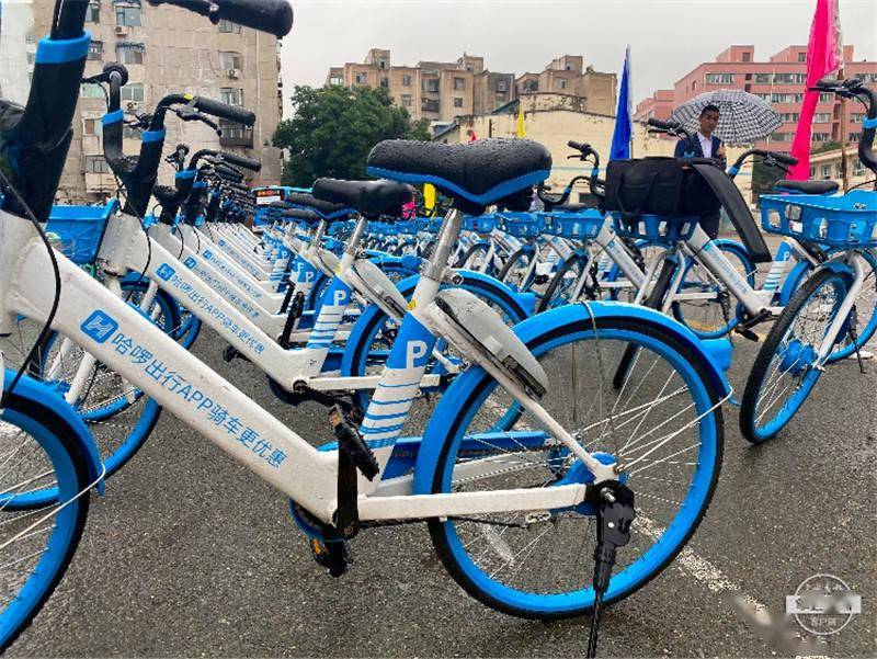 "绿色交通,低碳生活" 哈啰单车助力甘肃绿色出行