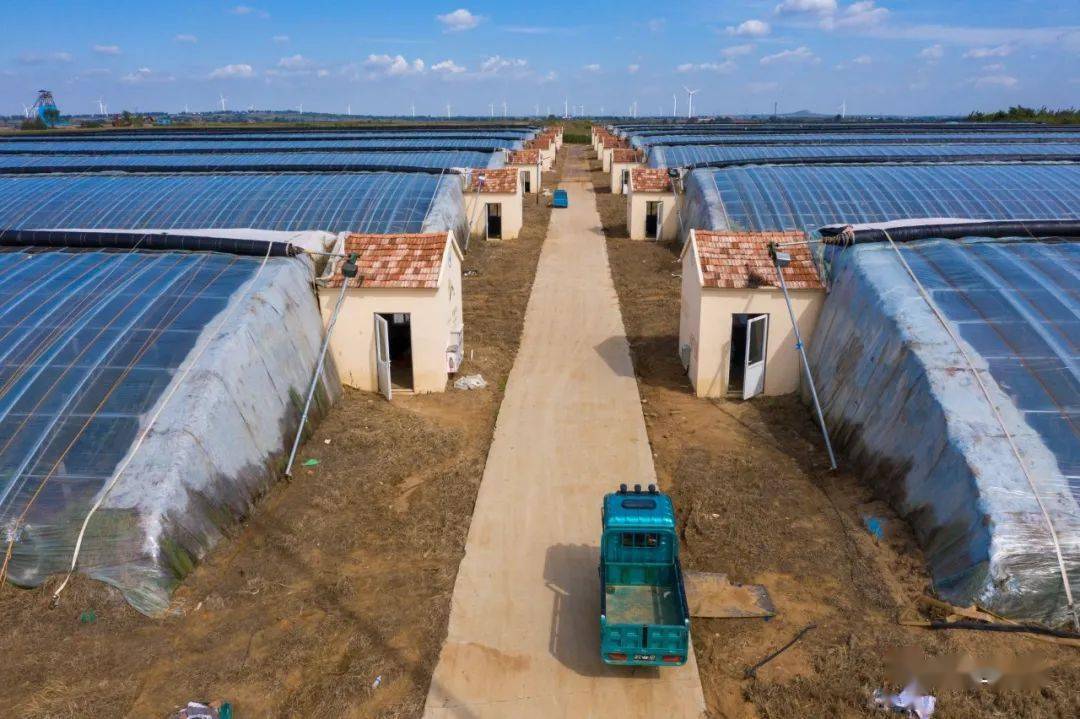 辉光日新940这里是莱西市马连庄