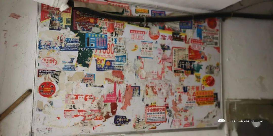 蒙城某小区楼道便民栏贴着涉嫌违法犯罪的小广告