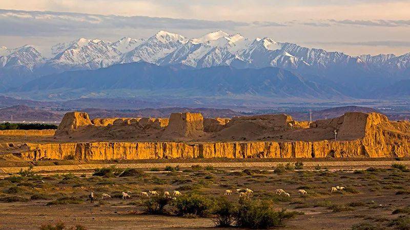 高台骆驼城传奇