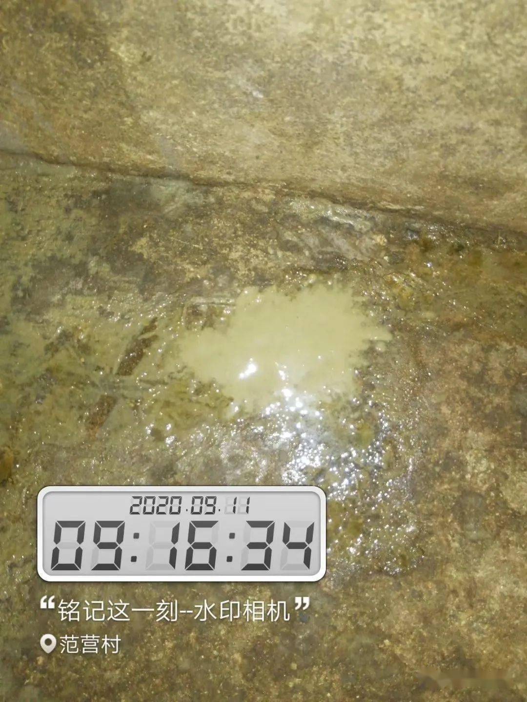 细菌性腹泻拉稀中,无论是拉血便的猪痢疾【7-12周龄的仔猪和幼猪易感