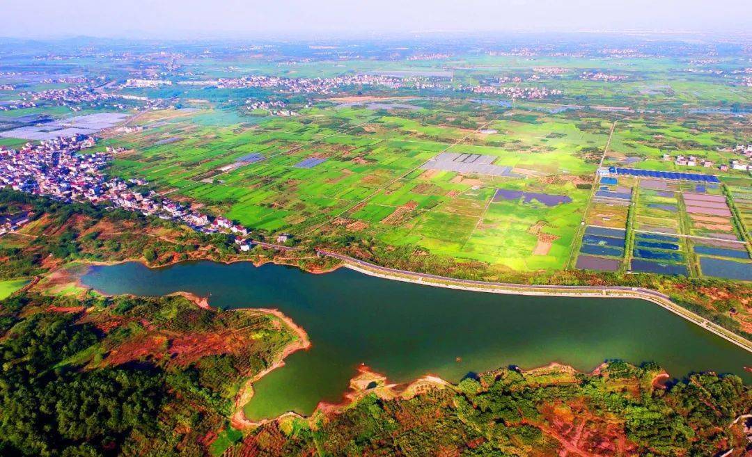 衢江莲花航空物流小镇图片