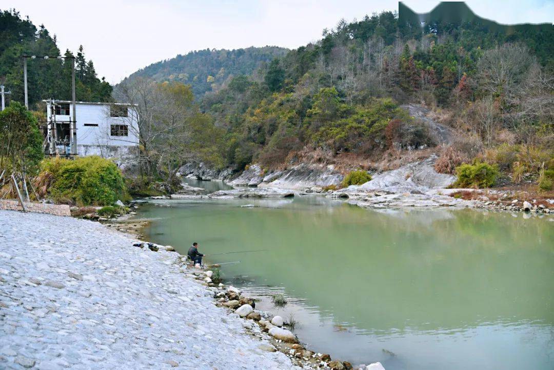 甘坊镇:打造"秀美乡村"助力"乡村振兴"