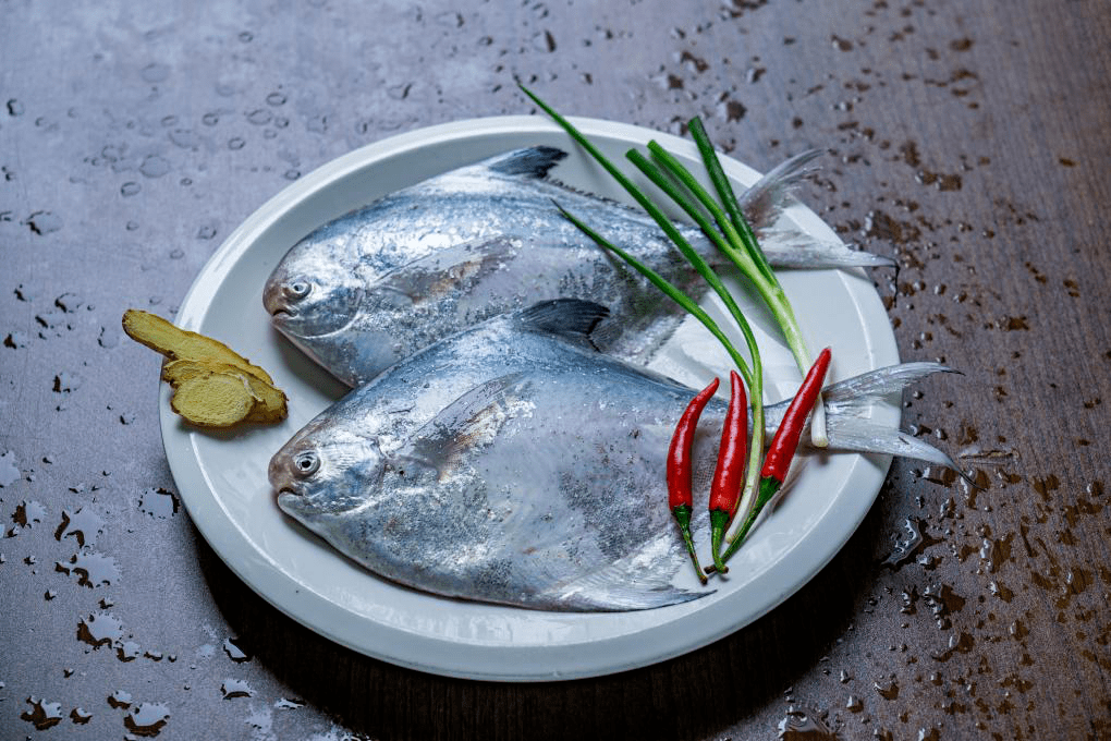 超级大礼包丨民泰为您献上一份绝美"鲜"味_鲳鱼