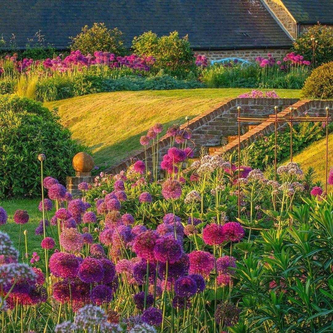 英式花园配色有多牛?看看这位顶级摄影师的作品!